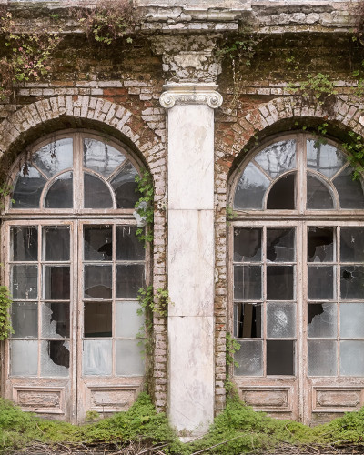 Tapet 3D Ruin Romance, care prezintă un perete cu ruine vechi, acoperite de vegetație, într-un spațiu modern.