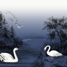 Fototapet Swan Lake, Nightfall, personalizat, Rebel Walls