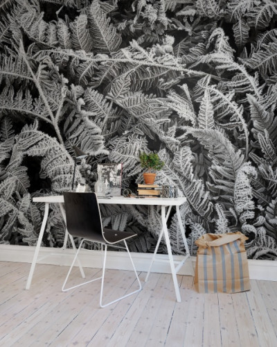 Tapet 3D Frost Leaf, cu un design minimalist de frunze de ferigă înghețate, ideal pentru un decor modern.