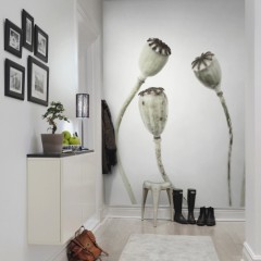 Foto tapet 3D Simple Seedpod, personalizat, Rebel Walls