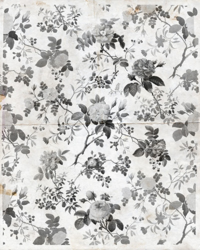 Tapet floral Rosegarden, Black, cu trandafiri gri pe un fundal alb.