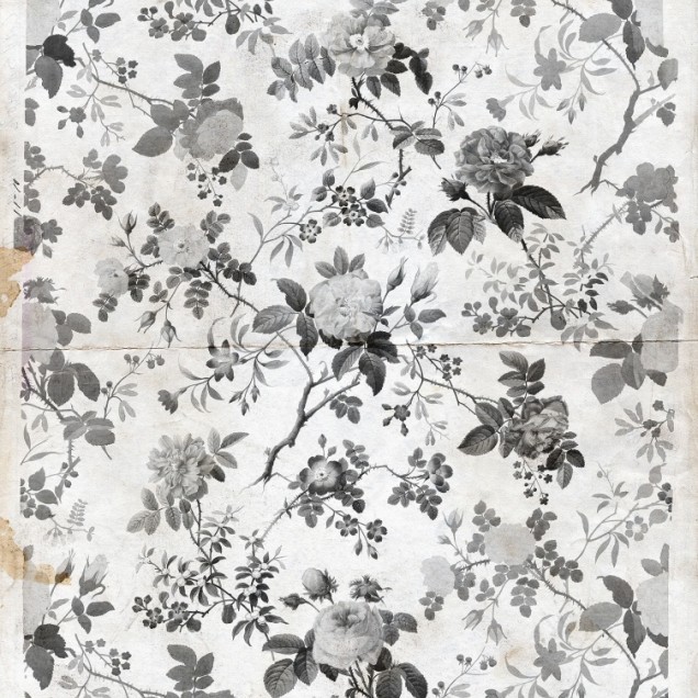 Tapet floral Rosegarden, Black, cu trandafiri gri pe un fundal alb.