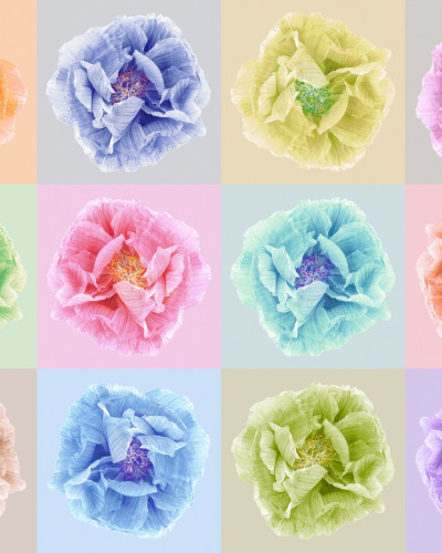 Tapet 3D cu flori mari, Poppy Art