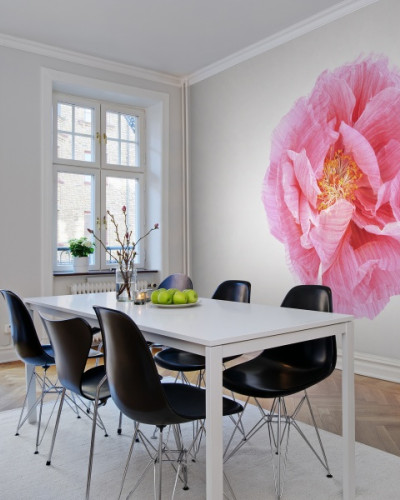 Tapet floral cu un mac roz, in camera de dining