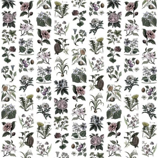 Tapet cu design floral delicat, perfect pentru living, dormitor sau birou. Creaza o atmosfera relaxanta si primitoare in casa ta.