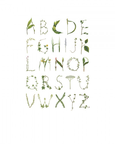 Tapet ABC pentru Albine