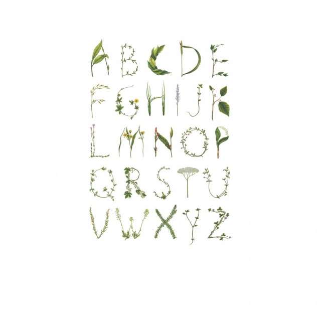 Tapet ABC pentru Albine