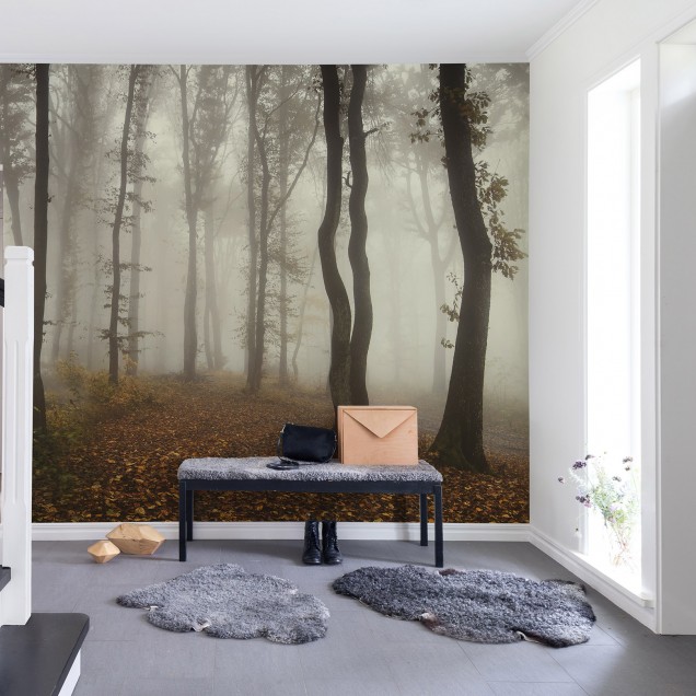 Imagine cu tapet cu design de pădure învăluită în ceață