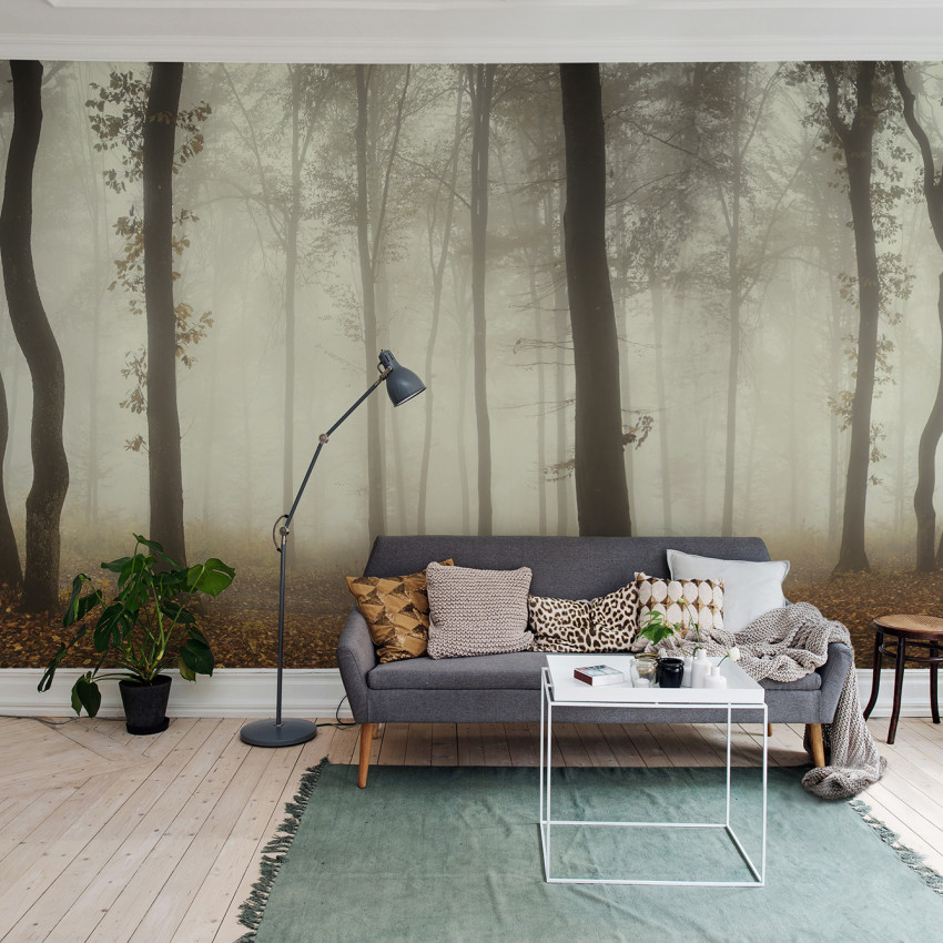 Imagine cu tapet cu design de pădure învăluită în ceață
