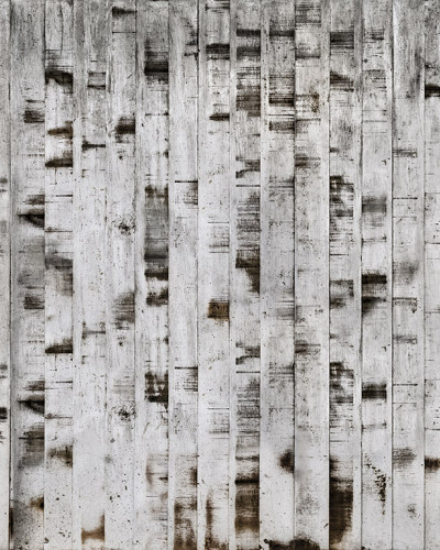 Tapet 3D Metal Birch cu aspect de lemn