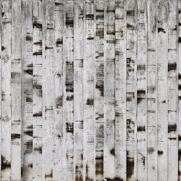 Tapet 3D Metal Birch cu aspect de lemn