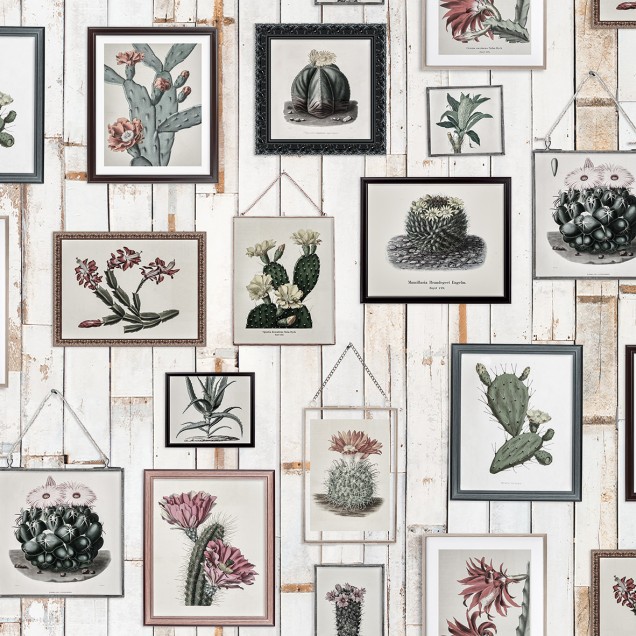 Tapet de perete cu design vintage, prezentând o colecție de cactuși încadrați pe un fundal de lemn alb.