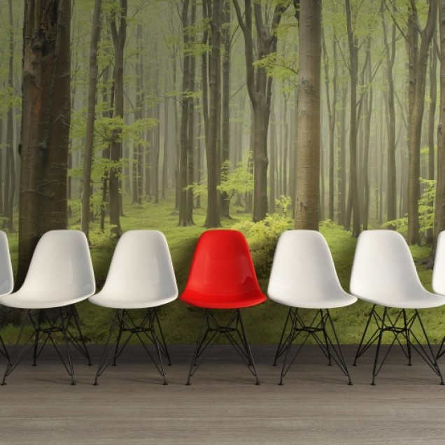 Tapet 3D cu o pădure densă, cu copaci înalți și verdeață luxuriantă, perfect pentru a crea o atmosferă relaxantă și primitoare.