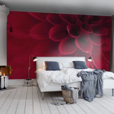 Tapet 3D Dahlia cu o floare roșie vibrantă, decorat cu detalii fine, perfect pentru dormitor.