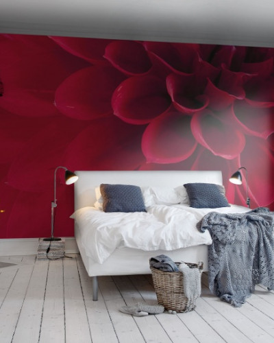 Tapet 3D Dahlia cu o floare roșie vibrantă, decorat cu detalii fine, perfect pentru dormitor.