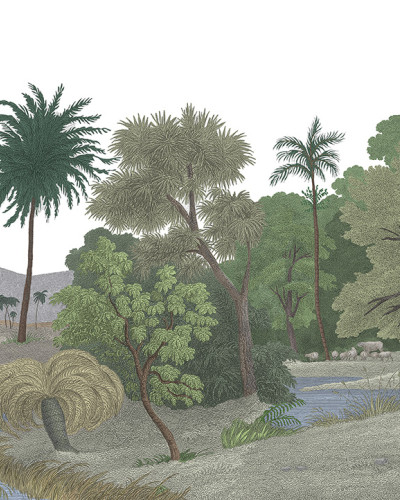 Jungle Land, Color, Rebel Walls