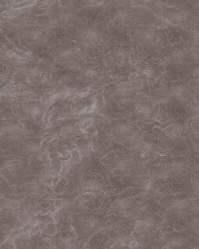Tapet cu design modern Elevation Lines, cu linii curbe subtile pe un fundal maro