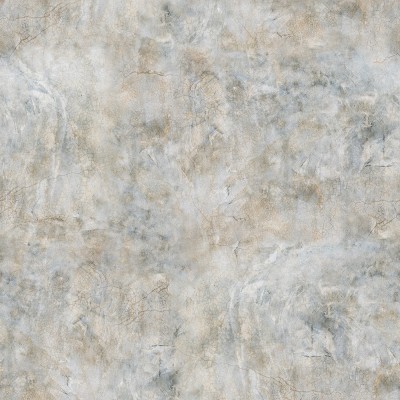 Tapet cu aspect de beton brut Fossil Stone
