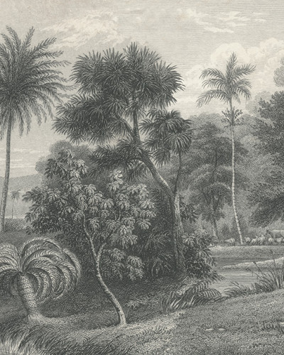 Tapet Jungle Land, Vintage, cu un design vintage inspirat de jungla luxurianta