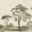 Tree Studies, Green, Rebel Walls