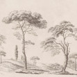 Tree Studies, Graphite, Rebel Walls