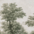 Whispering Canopy, Light Green, Rebel Walls
