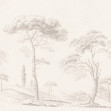 Tree Studies, Beige, Rebel Walls