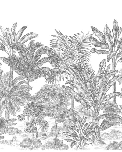 Tropical Bellewood, Frost, Rebel Walls