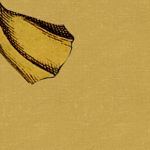 Un perete cu wallpaper cu banane galbene