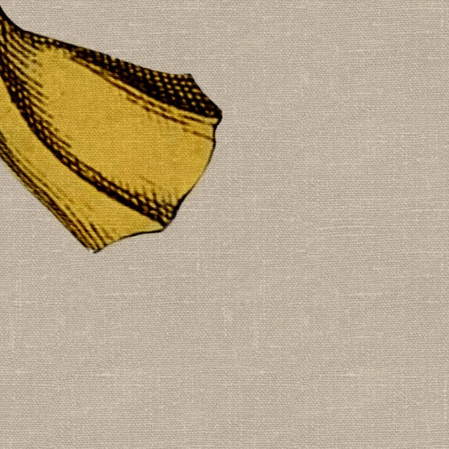 Tapet cu banane desenate, perfect pentru camera copiilor