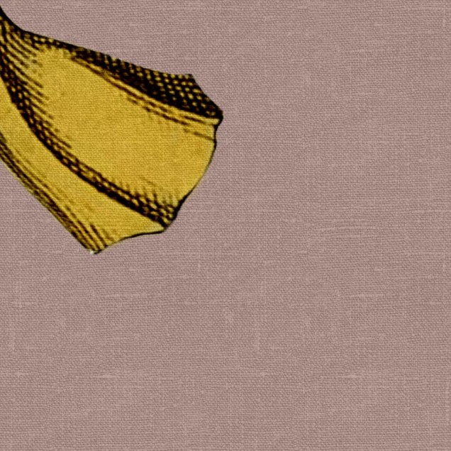 Tapet cu imprimeu grafic cu banane roz