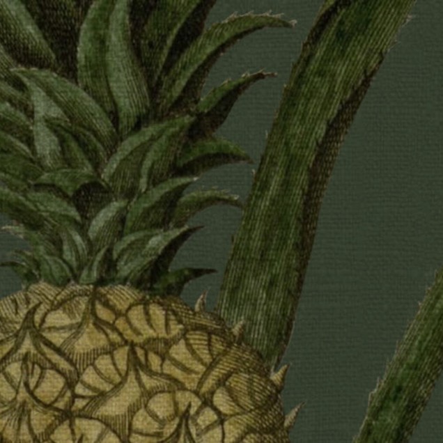 Tapet cu ananas, cu design minimalist și culori vibrante