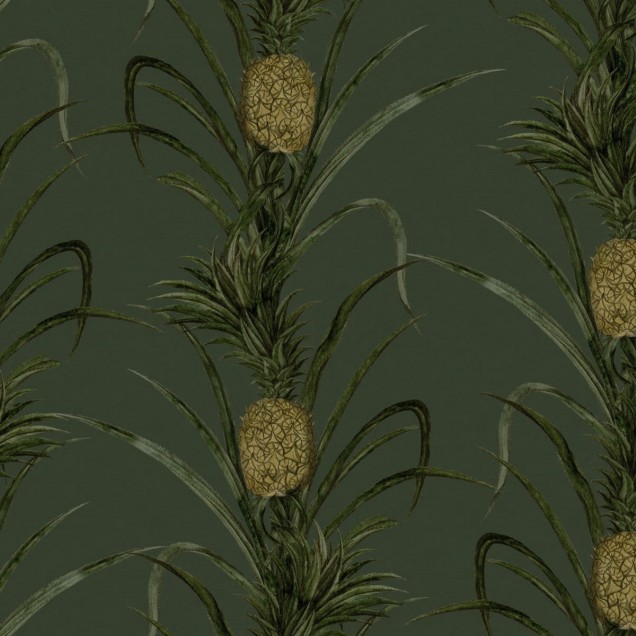 Tapet cu ananas, cu design minimalist și culori vibrante