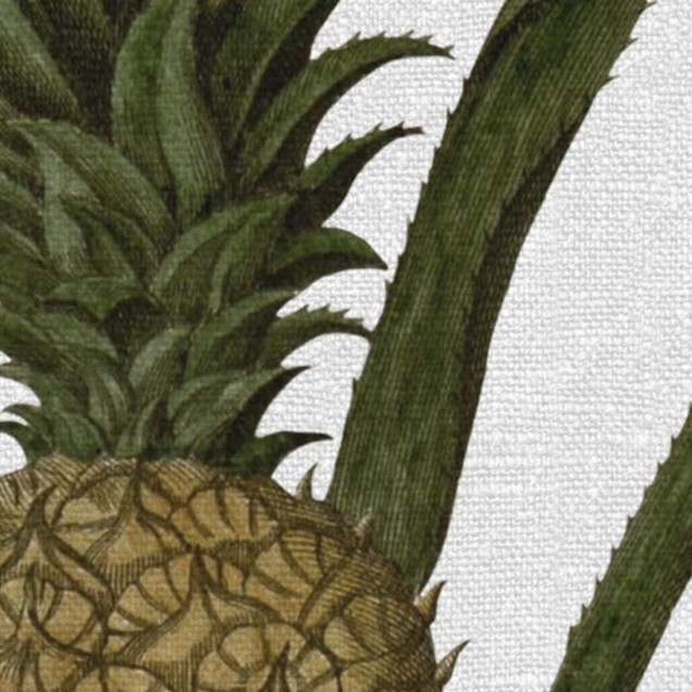 Tapet Pineapple cu ananas tropical și frunze verzi pe un fundal alb.