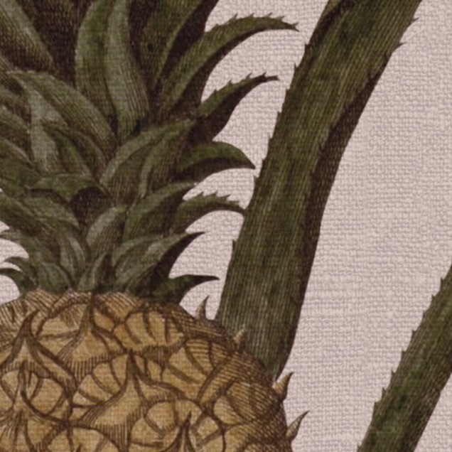 Tapet cu ananas roz pal, Pineapple Soft Pink