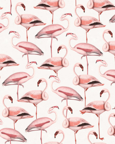 Tapet cu flamingos roz pe un fundal alb