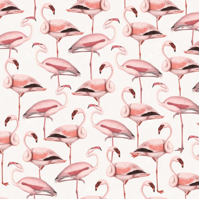 Tapet cu flamingos roz pe un fundal alb