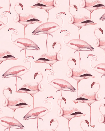 Tapet cu flamingo roz pastel