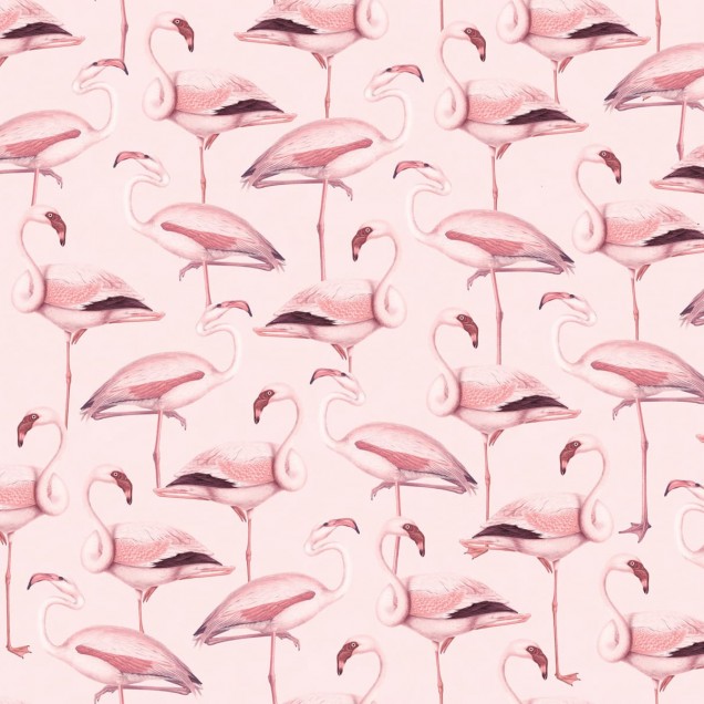 Tapet cu flamingo roz pastel
