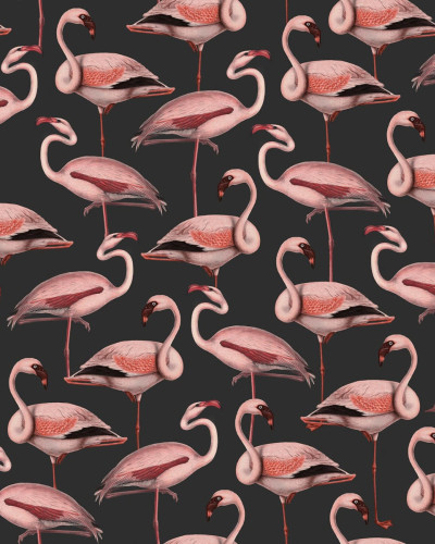 Tapet cu flamingo roz pe un fundal întunecat