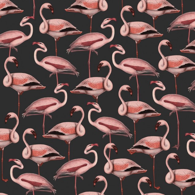 Tapet cu flamingo roz pe un fundal întunecat