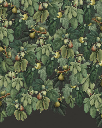 Tapet cu design natural, Fig Tree, Lush, infatiseaza un copac de smochine luxuriant, creand o atmosfera relaxanta in orice incapere.
