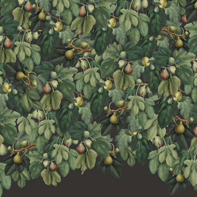 Tapet cu design natural, Fig Tree, Lush, infatiseaza un copac de smochine luxuriant, creand o atmosfera relaxanta in orice incapere.