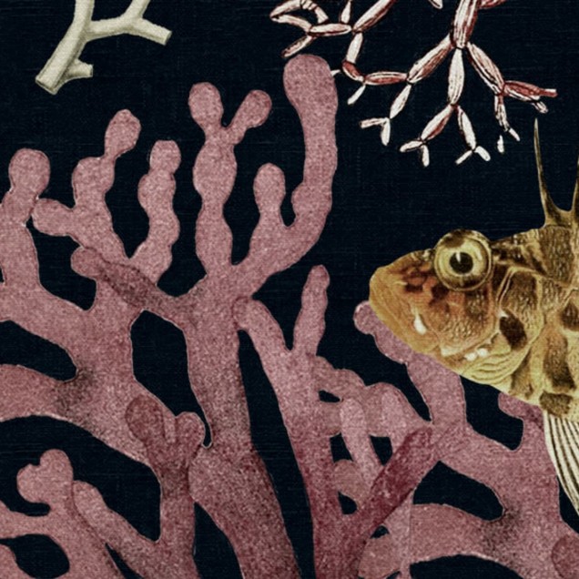 Tapet cu design Ocean Life, Night, prezintă corali, scoici și alte creaturi marine pe un fundal închis.