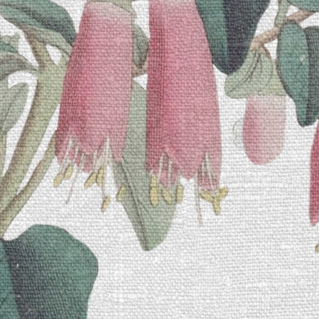 Tapet cu design floral elegant, Lotus, Pastel