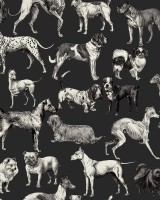 Dogs, Harlequin, Rebel Walls