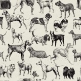 Dogs, Creme, Rebel Walls