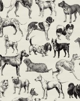 Dogs, Creme, Rebel Walls