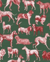 Dogs, Red Tan, Rebel Walls