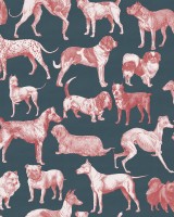 Dogs, Blue, Rebel Walls